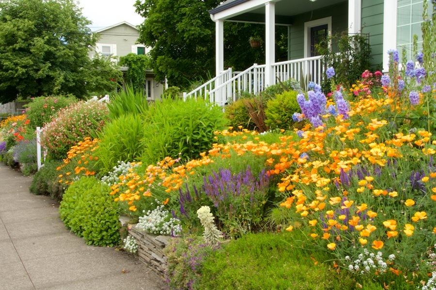 A Guide to Landscaping Your Hillside for  Enhanced Beauty