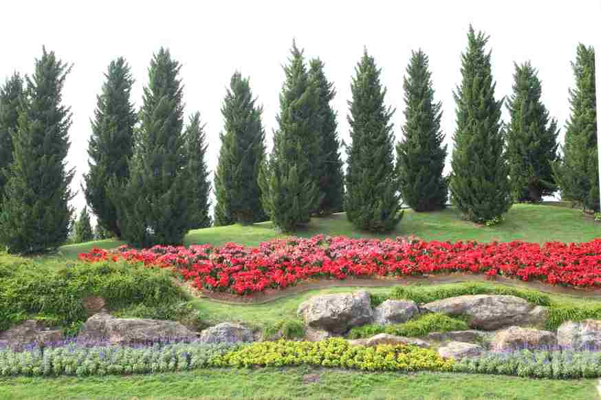 How to Landscape a Hillside? – Landscape Improvemen