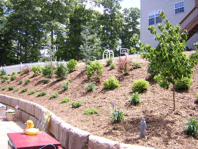 Pin by Tammie Goss on Landscaping and Gardening | Backyard hill .