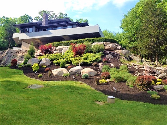 Hillside Planting - EDC Landscapi