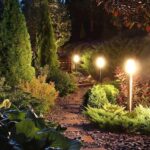 5 Reasons Professional Landscape Lighting is Worth the Investment .