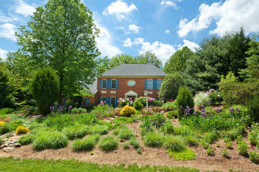 Landscaping Mounds, Berms, and Knolls: An Oasis for Flat Spac