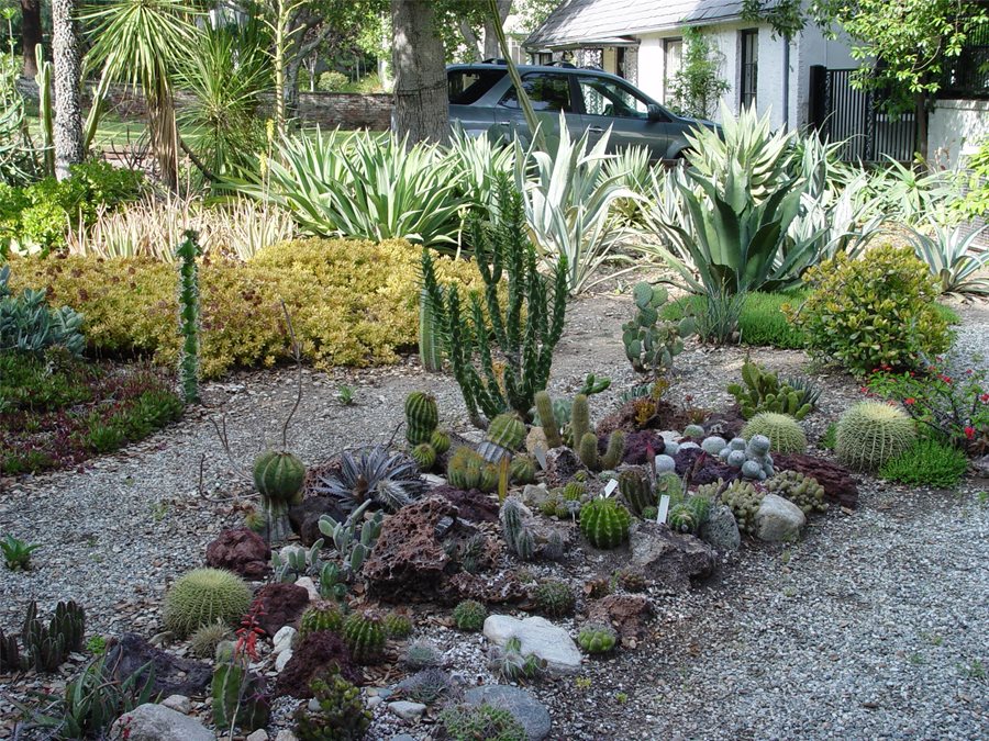 Berms & Mounds for Landscaping (Ideas & Photos) - Landscaping Netwo