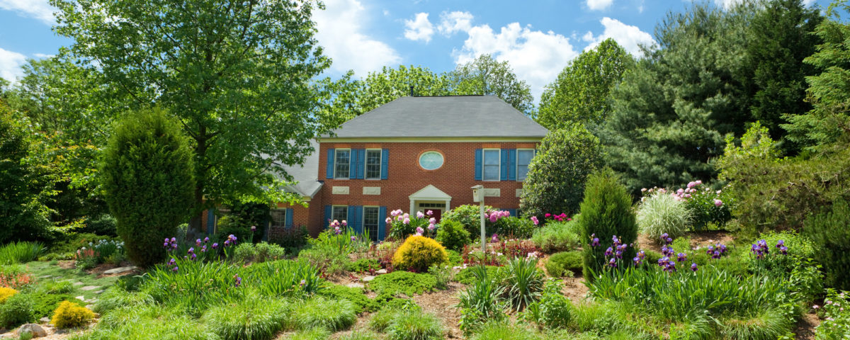 Landscaping Mounds, Berms, and Knolls: An Oasis for Flat Spac