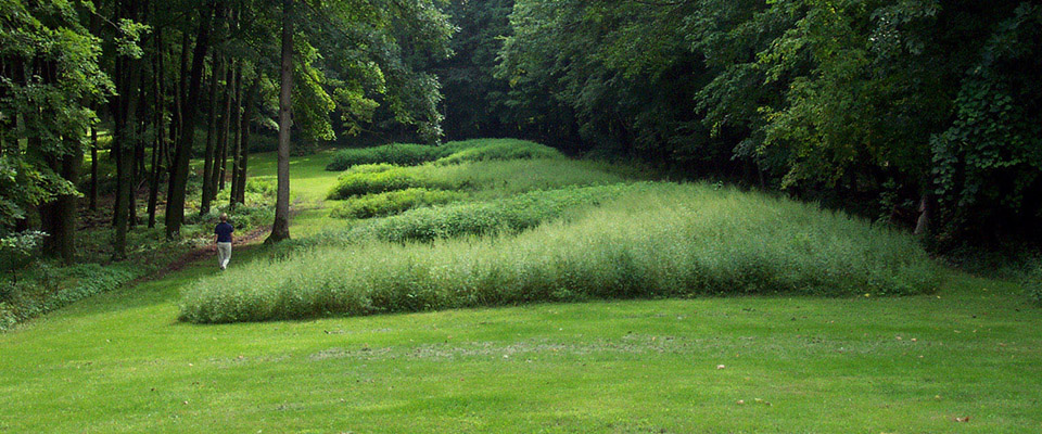 Effigy Mounds National Monument: Tribal Collaboration for .