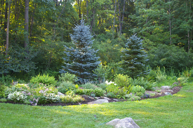 Creating A Landscape Berm” by Dorian Winslow | womanswork.c