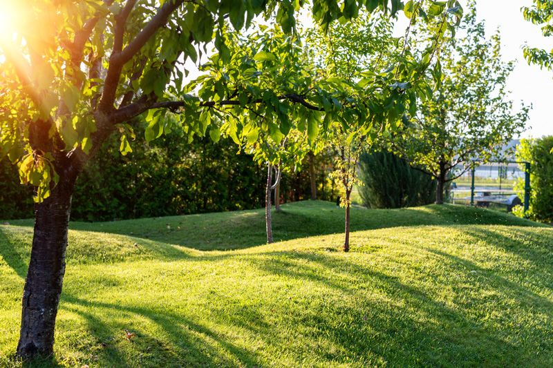 What is a Berm in Landcaping? Landscape Berm Ide