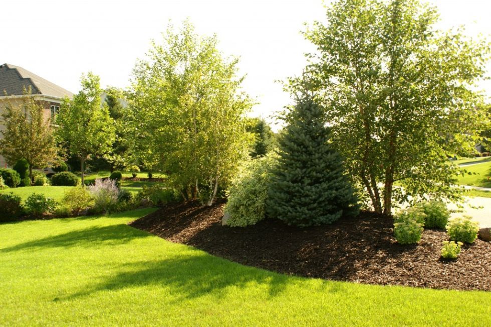 10 Ways to Make Your Yard Look Professionally Landscaped | Outdoor .