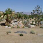 Berms & Mounds for Landscaping (Ideas & Photos) - Landscaping Netwo