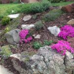 Ideas and tips for growing grass on a hill or slope in Colora