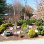 Steep Slope Erosion Control Options | Lawn-N-Order Landscapi