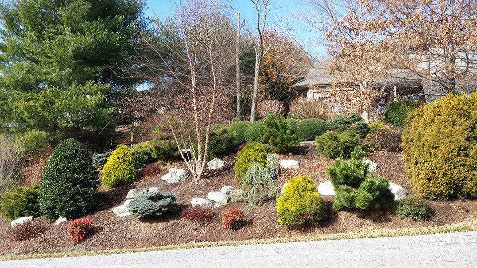 Steep Slope Erosion Control Options | Lawn-N-Order Landscapi