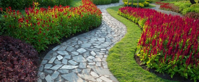 Front Yard Pathway Ideas | Plant Professiona