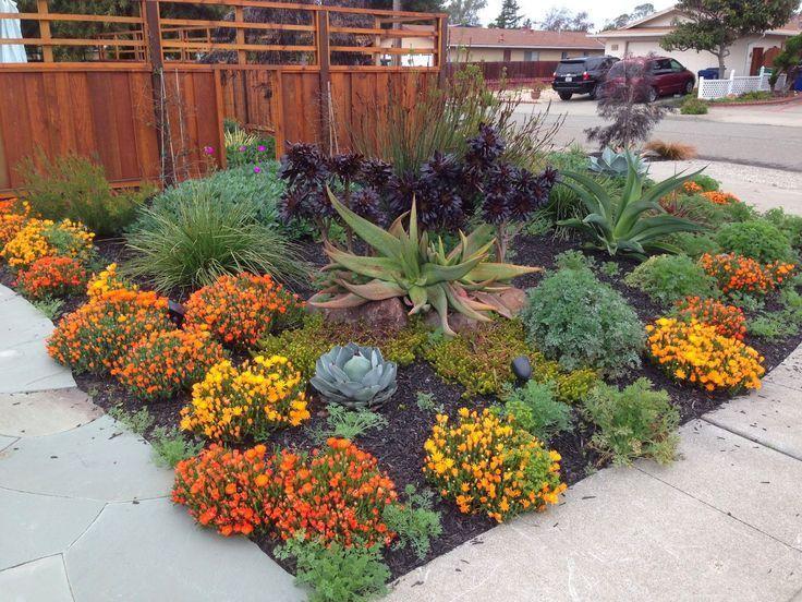 Drought Tolerant Landscaping - City of Redlan