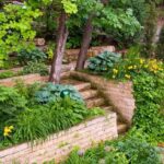 10 Small Plants for Landscaping | The Family Handym