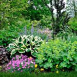 Smart Low-Maintenance Landscaping Ideas – Forbes Ho