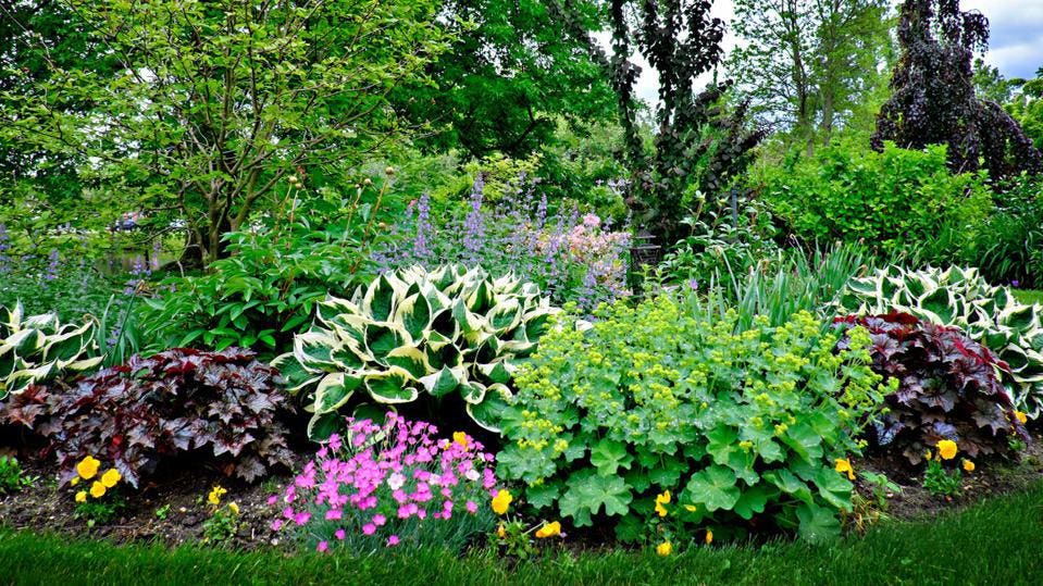 Smart Low-Maintenance Landscaping Ideas – Forbes Ho