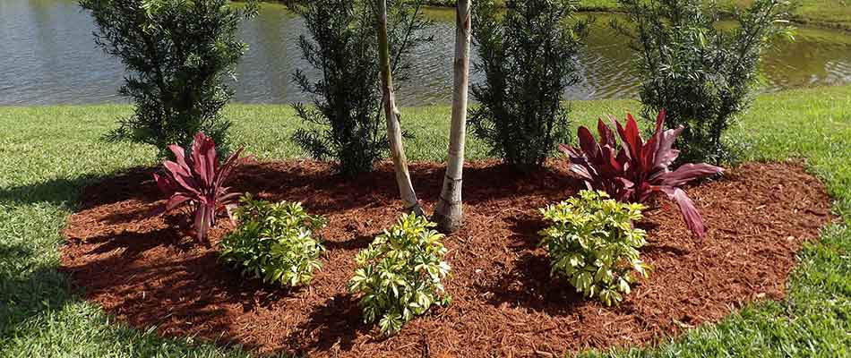 The Importance of Choosing the Right Plants for Your Landscaping .