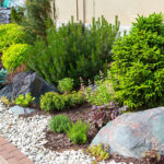 Native Plants Sacramento Landscape Design – FiveSTAR Landscape .