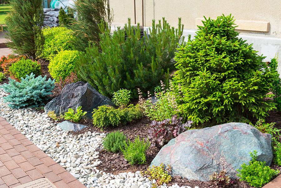 Native Plants Sacramento Landscape Design – FiveSTAR Landscape .