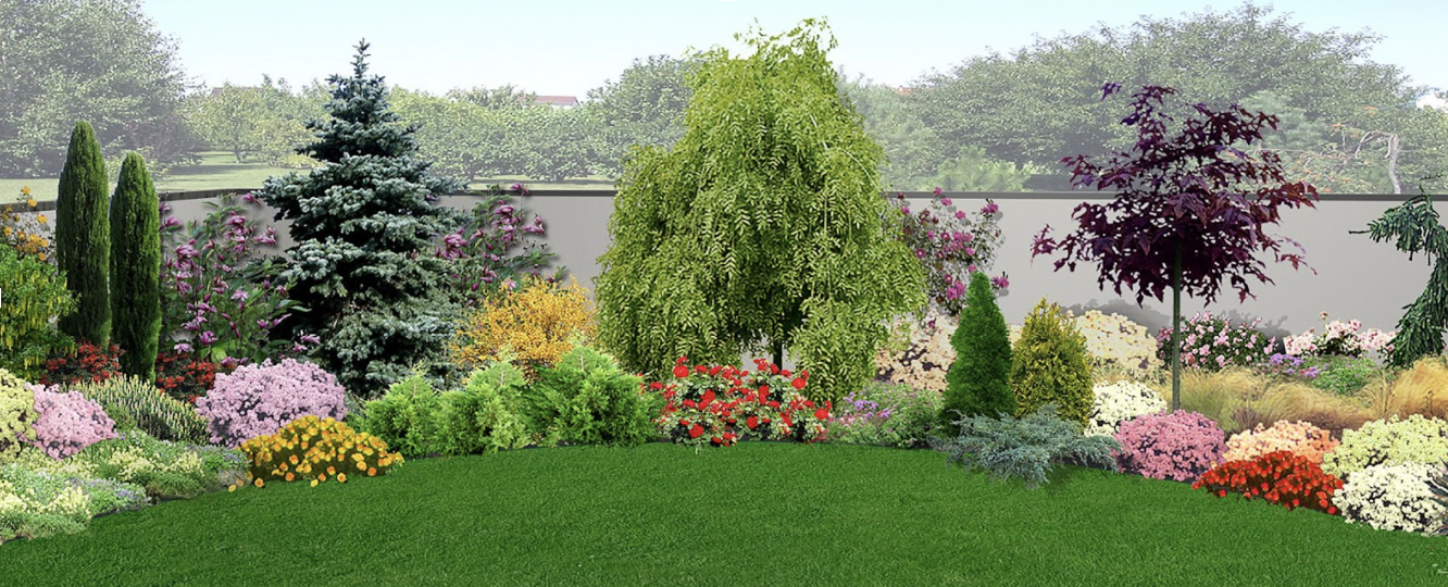 Landscape Design 101: Choosing the Right Plants – FastGrowingTrees.c