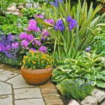 Dammann's Garden Company – THE BEST LANDSCAPE PLANTS TO PLANT N