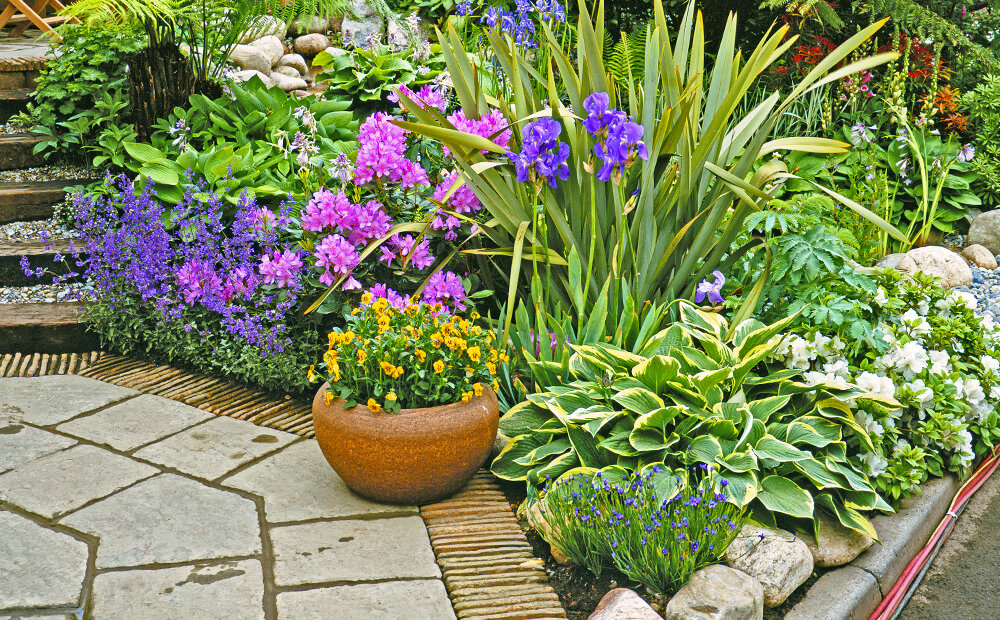 Dammann's Garden Company – THE BEST LANDSCAPE PLANTS TO PLANT N