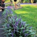 25 Plants That Survive With or Without You | Front yard garden .