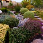 Plants for Landscaping - Landscaping Netwo