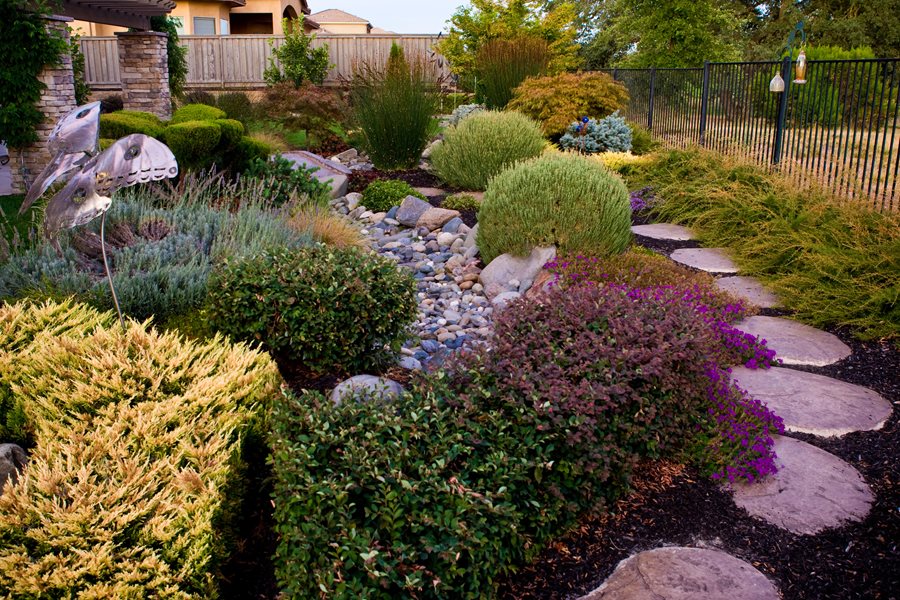 Plants for Landscaping - Landscaping Netwo