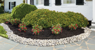 Rock Landscaping Ideas That Increase Curb Appeal - The Home Dep