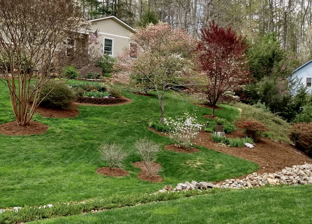 Sloped Front Yard | North Carolina Extension Gardener Plant Toolb