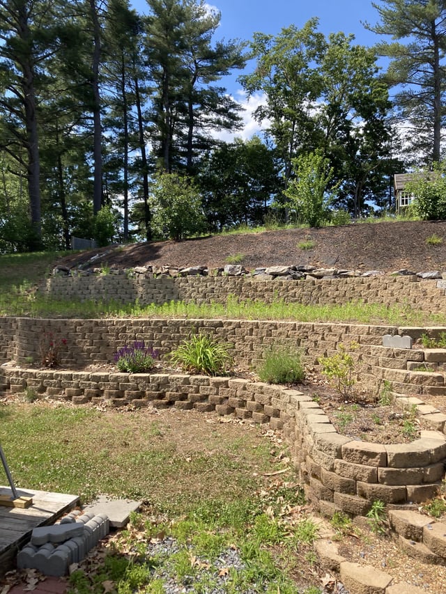 Ideas for a sloped backyard : r/landscapi