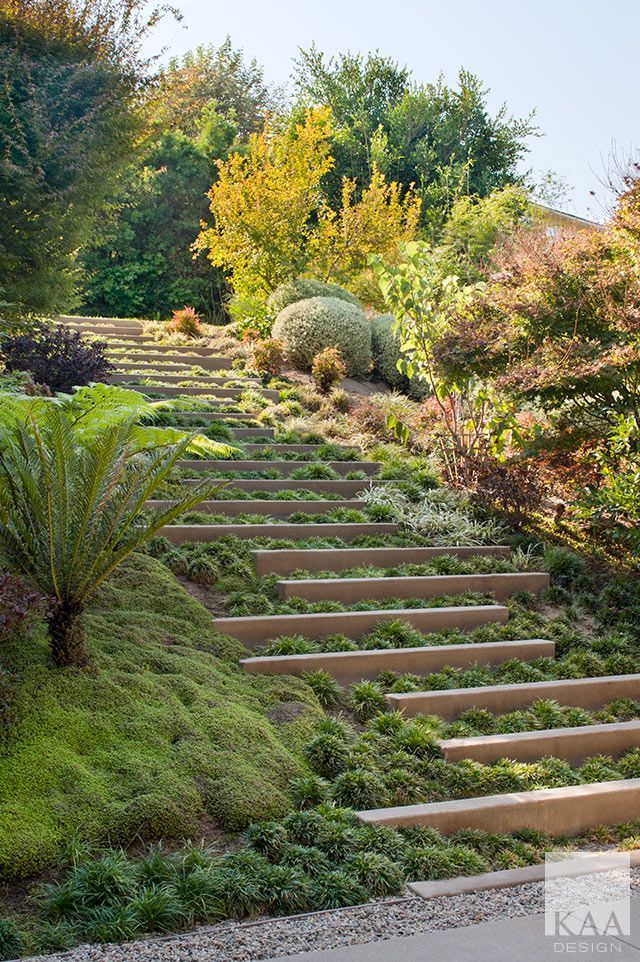 KAA Design Group » Longfellow Drive | Sloped backyard landscaping .