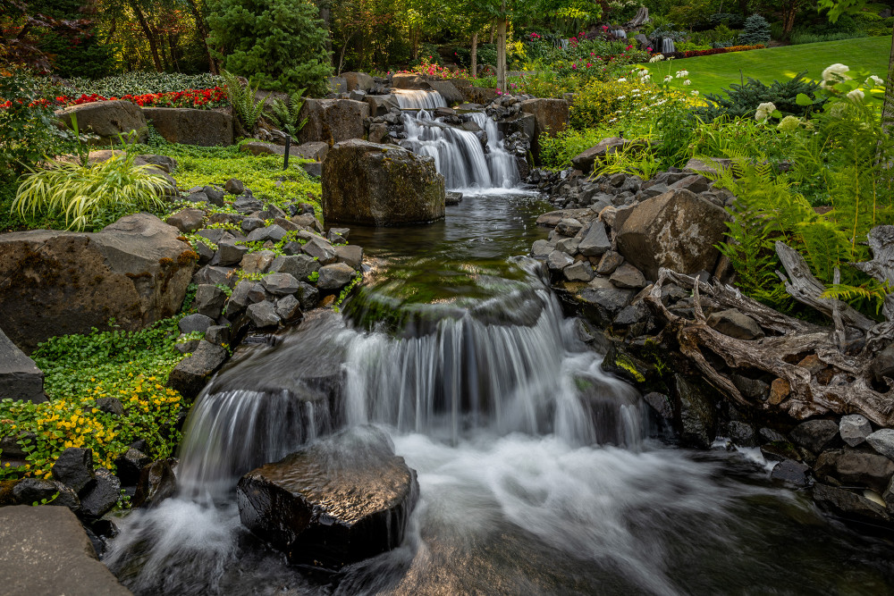 Our Blog | Alderwood Landscapi