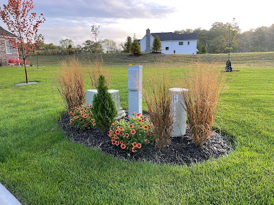 Backyard Neophyte Landscaping Blog: New Plants Around Utility Box