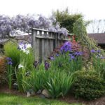 Hiding Garden Eyesores - Landscaping Netwo