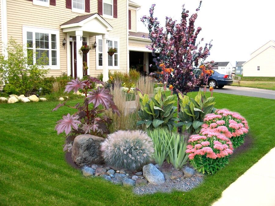 Purple Sandcherry and Other Perennials for a Beautiful English Gard