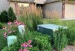 Backyard Neophyte Landscaping Blog: Great Utility Box Plant .