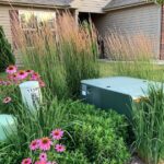 Backyard Neophyte Landscaping Blog: Great Utility Box Plant .