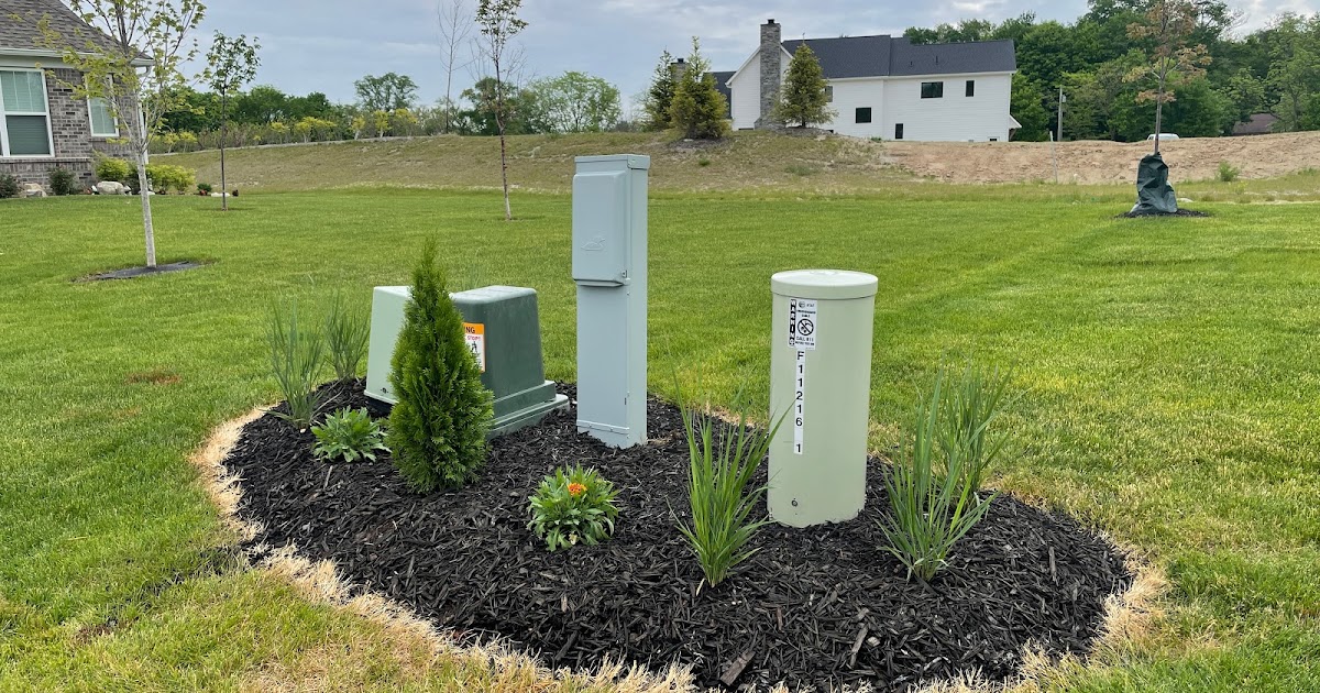 Backyard Neophyte Landscaping Blog: New Plants Around Utility Box