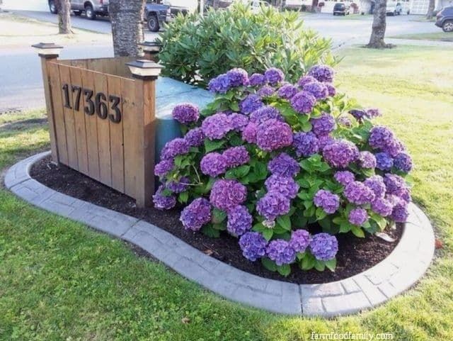 24+ Creative Landscaping Ideas To Hide Utility Boxes - Farm Food .