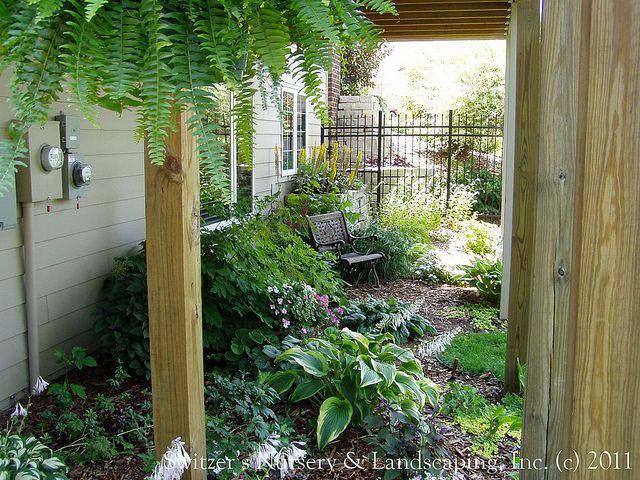 Perennial Paradise ~ a Backyard Garden - landscaping under the .