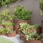 Vegetable Garden Ideas - Landscaping with Vegetables - Landscaping .