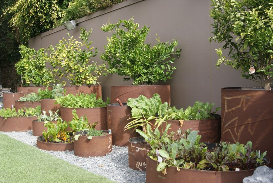 Vegetable Garden Ideas - Landscaping with Vegetables - Landscaping .