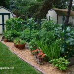 Vegetable Gardening 101 - Gingham Garde