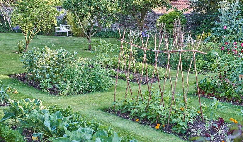 25 Incredible Vegetable Garden Ideas | Trees.c