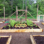 Organic Vegetable Gardens - Natural Landscaping, Gardening, and .