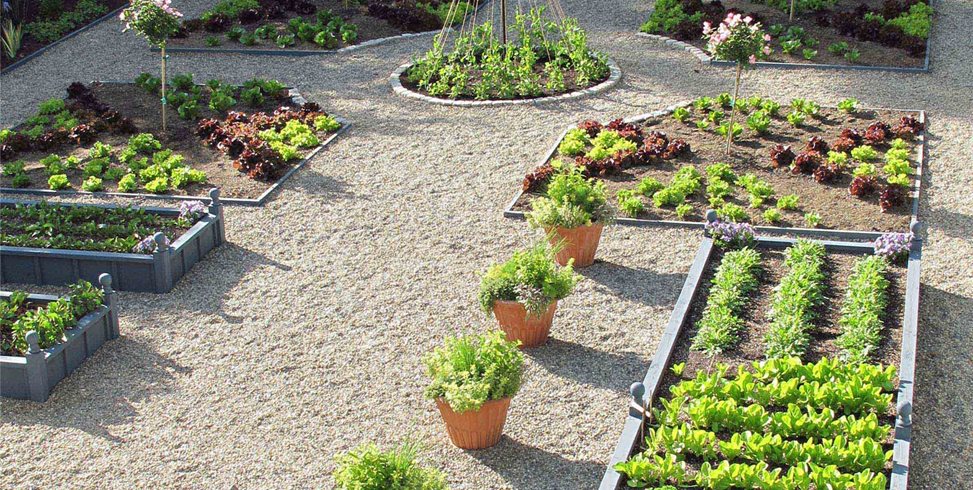 Vegetable Garden Ideas - Landscaping with Vegetables - Landscaping .