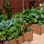 Vegetable Garden Ideas - Landscaping with Vegetables - Landscaping .